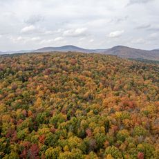 Mont de la Savane