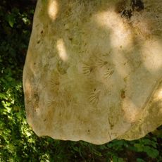 Pierre avec empreintes d'Écureuil