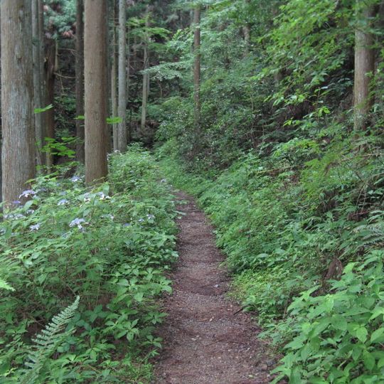 Kōyasan chōishi-michi