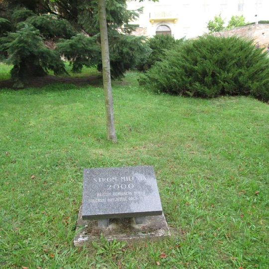 Památník stromu milénia ve Svojšíně