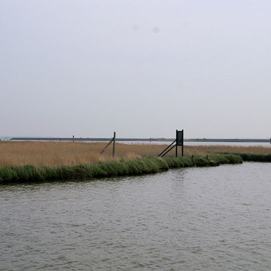 Berney Marshes RSPB reserve