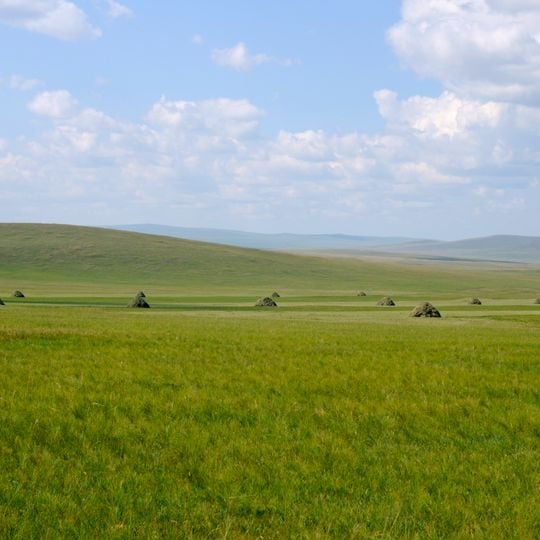 Bandiera destra di nuova Barag