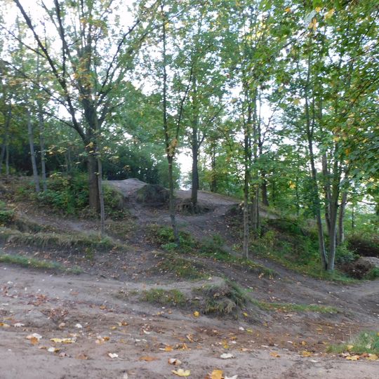 Kilimandżaro