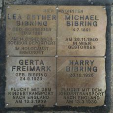 Michael Bibring