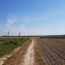 Belgium-Netherlands boundary stone no. 95
