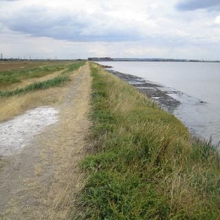 Mucking Flats and Marshes