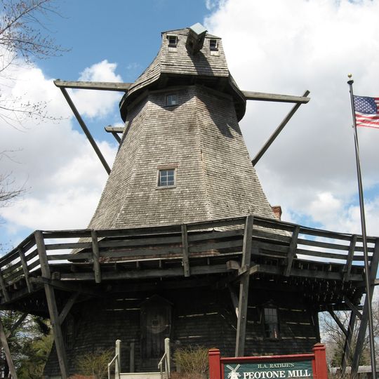 Peotone Mill