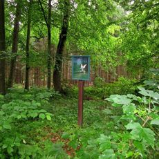 Obrázek severně od Kokšína