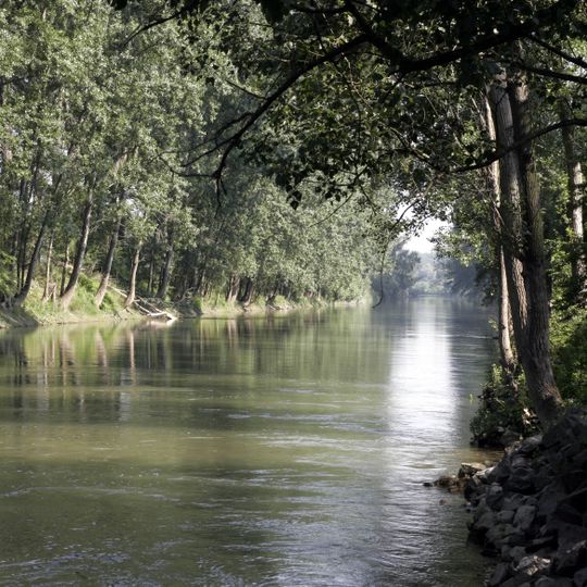 Kühkopf-Knoblochsaue