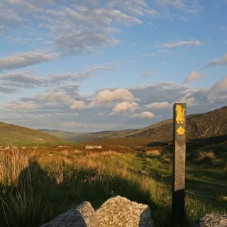 St. Kevin's Way