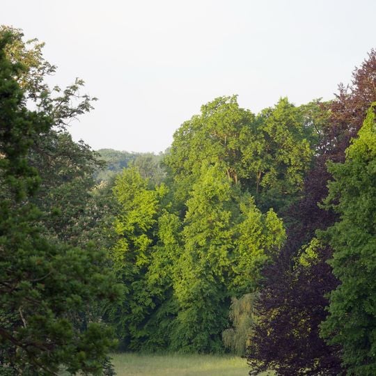Westlicher Düppeler Forst