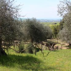 Necropoli di Poggio Pinci e il Tumulo di Molinello