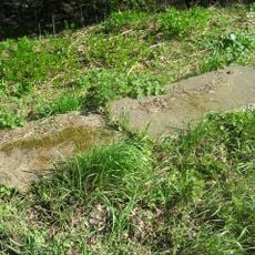 Milepost At Se 427 282