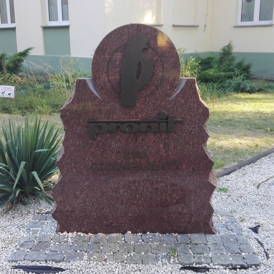 Izba Regionalna Czarnej Płyty