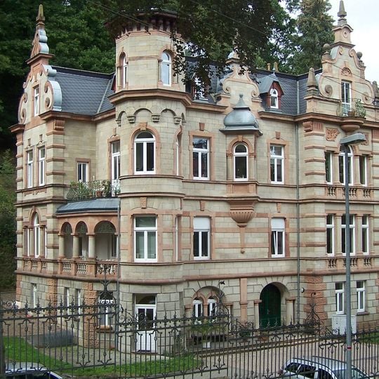 Villa Musculus