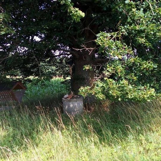 Kříž severně od Velké Rovné