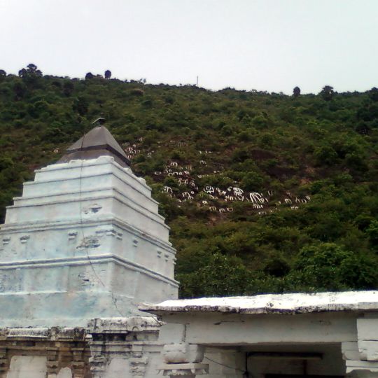 Atchutapuram mandal