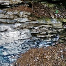 Ölschiefer-Aufschluss NNW von Hetzles