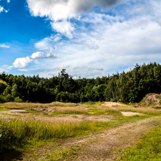Alter Steinbruch Liekwegen