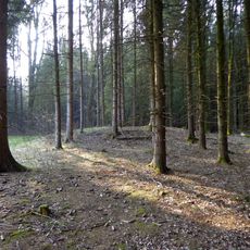Hügelgräber im Lindetwald