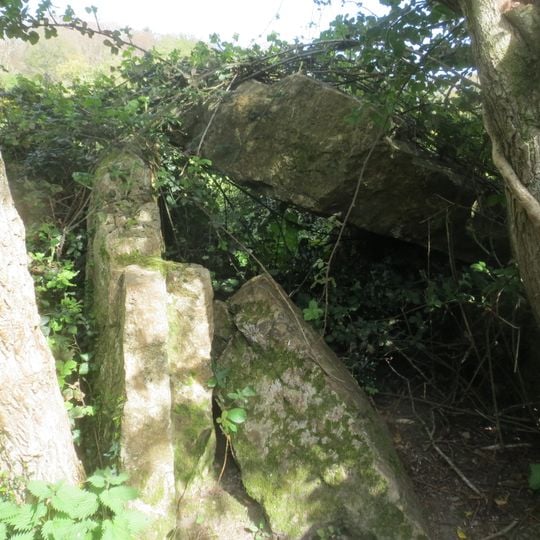 Wedge Tomb von Shankill