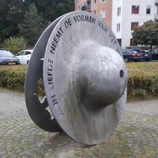 Mijn liefde neemt de vormen van het vliegen aan