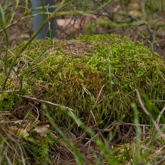 Grenzstein Untere Gemeinde, Hundertmorgen in Seukendorf