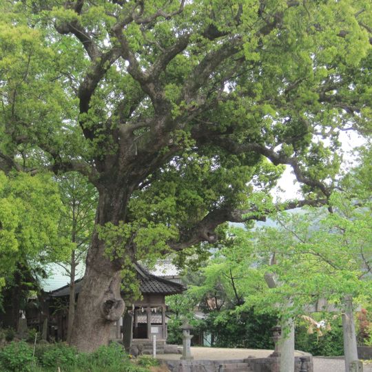 近津鹿島神社