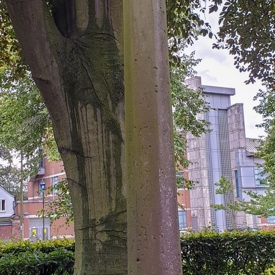 Cross Approximately 10 Metres South Of Church Of All Saints