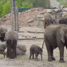 Jardin Zoologique de Berlin-Friedrichsfelde