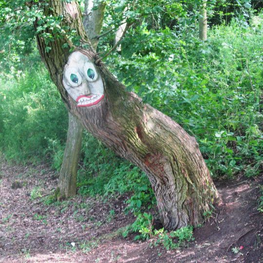 Educational trail of the elf Hrobčík