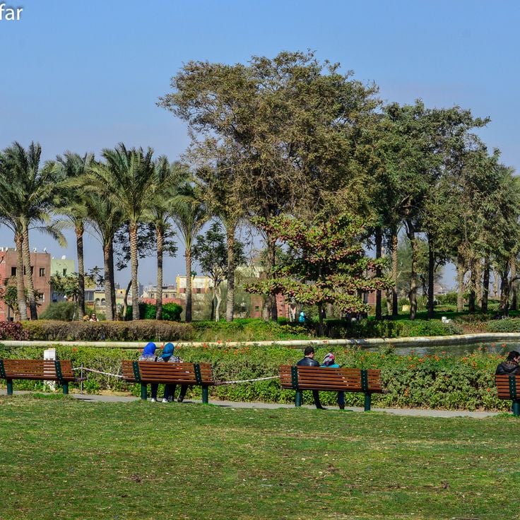حديقة الأزهر