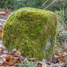 Grenzstein Untere Gemeinde in Fürth