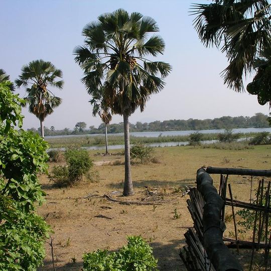 Liwonde National Park