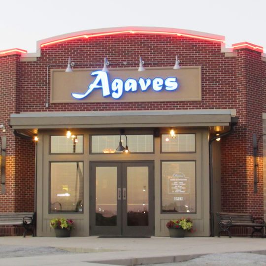 Agaves