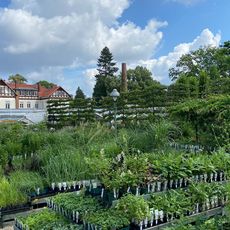 Königliche Gartenakademie GmbH & Co.
