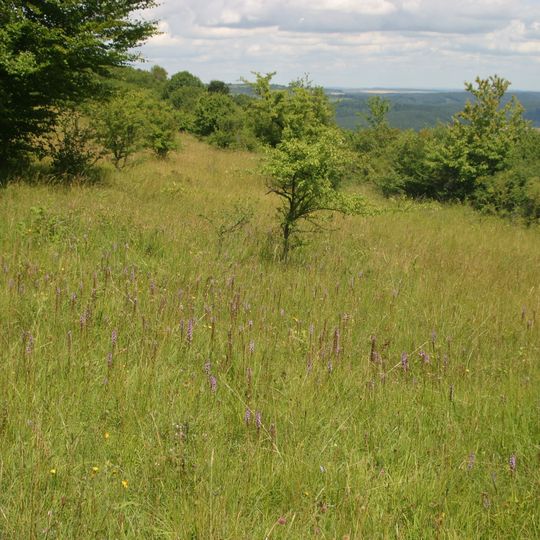 Eiderberg bei Freudenburg