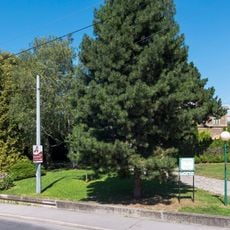 Mayer-von-Rosenau-Park