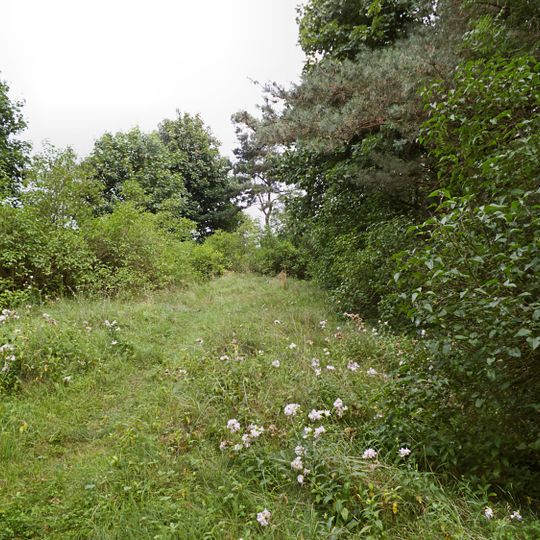 Cmentarz ewangelicki w Laskowie