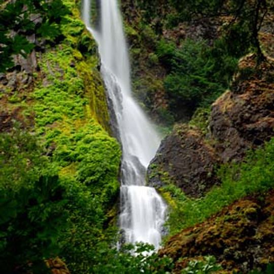 Starvation Creek Falls