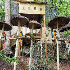 Parrot Mountain and Gardens