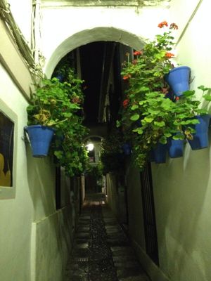 De noche 0