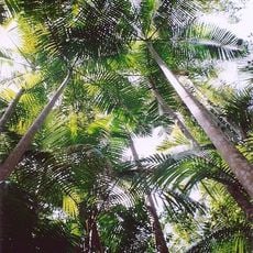 Middle Brother National Park