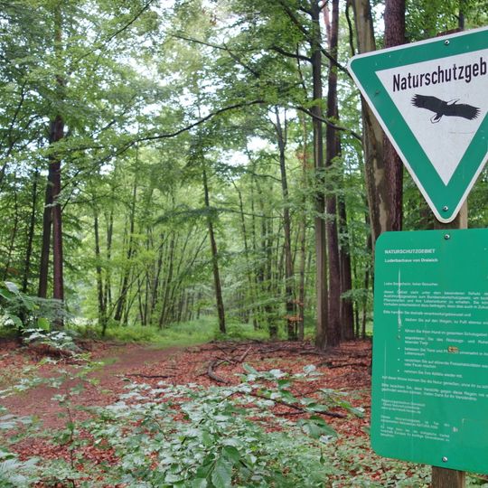 Luderbachaue von Dreieich