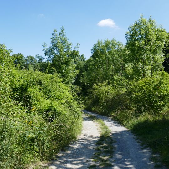 NSG Steinbruch suedlich Berge