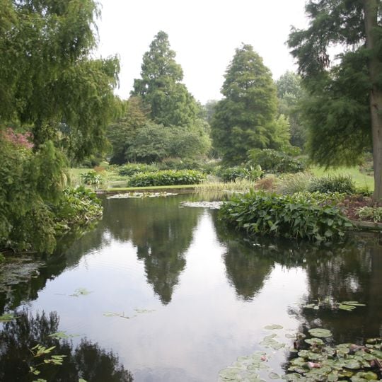 Beth Chatto Gardens