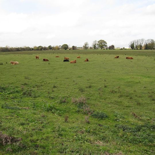 Soham Meadow