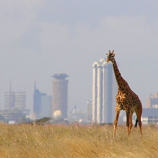 Parco nazionale di Nairobi