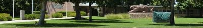 Panoramic View 1