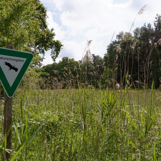 Naturschutzgebiet Rodauwiesen bei Rollwald